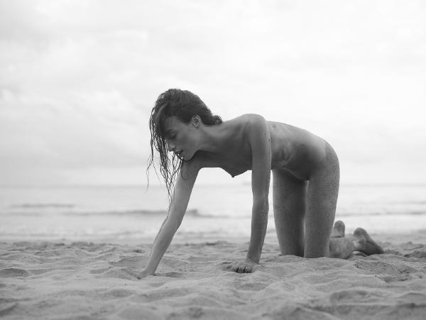 克莱奥黑与白 #16