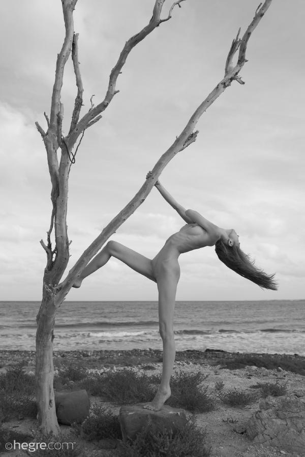 Proserpina  Josuabaum #35